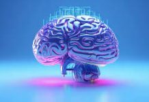 آزمون هوشی ریون بزرگسال